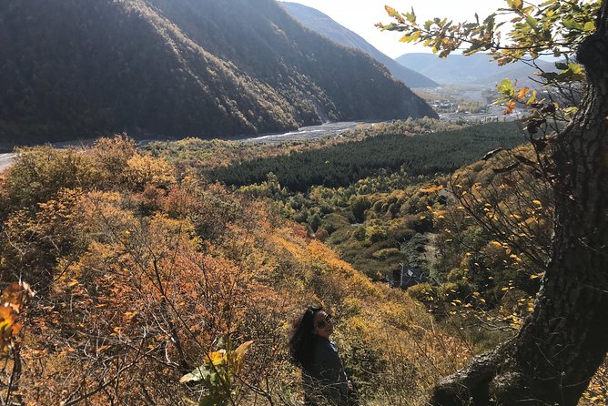 2-day Shamakhi-Gabala-Shaki Private Tour - Price and value: what $459 gets you, and what to budget for