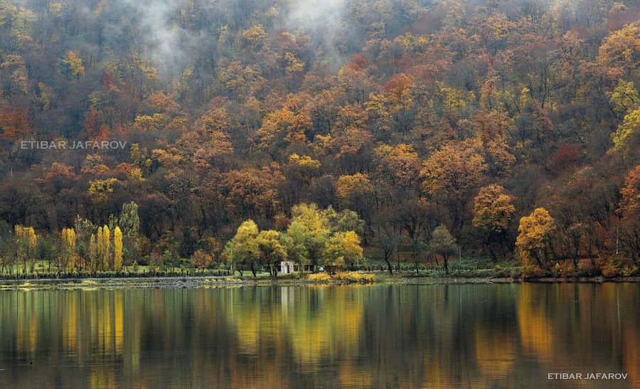 Baku-Gabala-Shamakhi-Tufandag -Nohur lake - Lavender fields - Seven Beauties Waterfall: A Forest Walk You Can Actually Enjoy