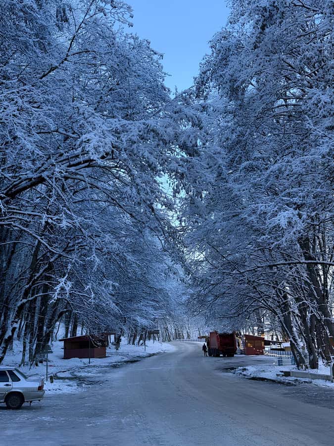 Baku: Guba, Candy Cane, and Shahdag Mountain Resort Trip - How the drive works: pickups, van comfort, and timing reality