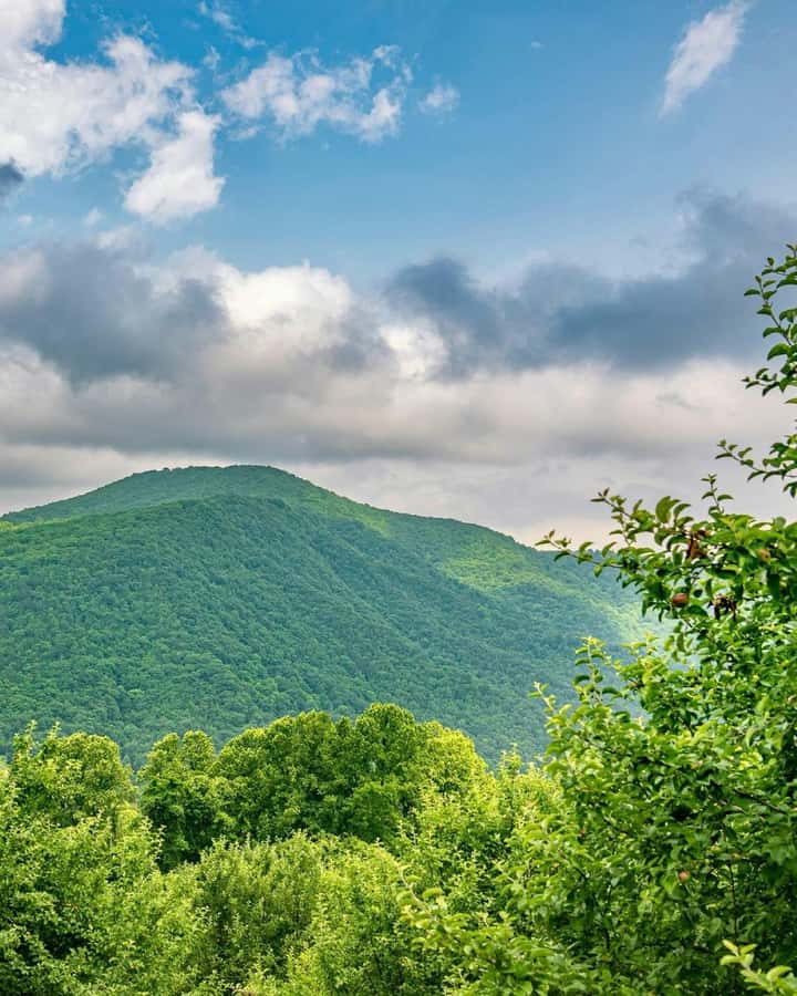 Baku: Guba-Shahdag Resort-Candy Mountain and Laza Waterfall - Laza Waterfalls and Village: Where the Day Slows Down
