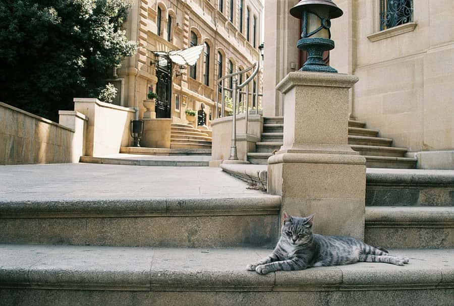 Baku Old City Wonders: A Walking Tour Through Time - Caravansarai: the Silk Road crossroads feeling gets real