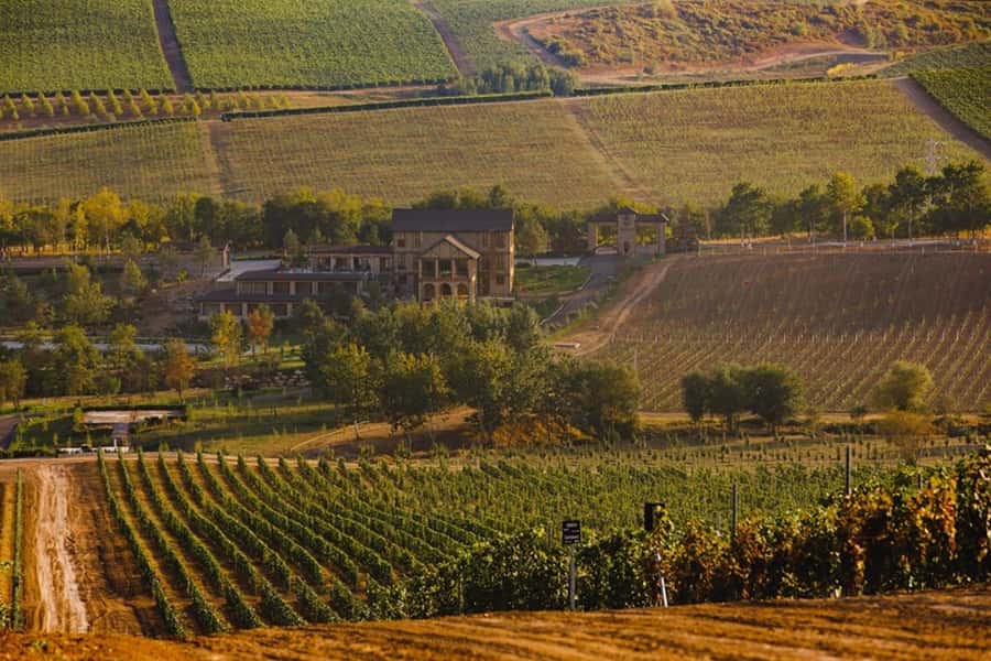 Baku: Organic Winery Tour in Shamakhi with Local Lunch - Vineyard tour: learning your grapes before you taste them