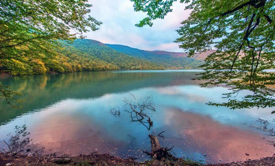 From Baku: Gabala and Shamakhi Nature Tour - Should you book this Baku to Gabala and Shamakhi nature tour?