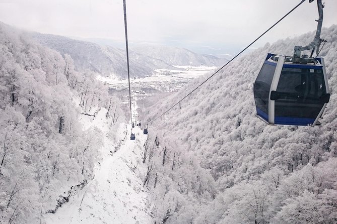 From Baku: Gabala Day Trip - Key highlights you’ll actually feel during the day