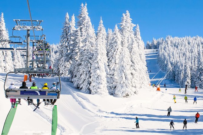 From Baku: Gabala Day Trip - Should you book the Baku to Gabala day trip?