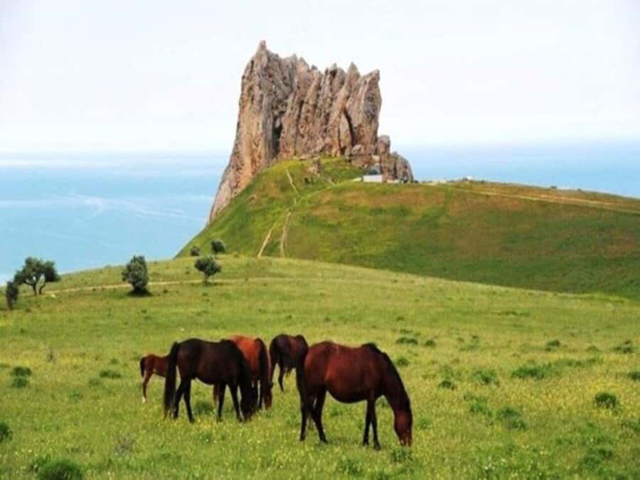 From Baku: Guba-Khinalig Day Trip - Qudyalchay Canyon Hike: Streams, Big Rocks, Green Plants