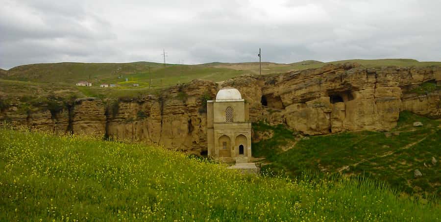 From Baku: Shamakhi City and Alpaca Farm Tour - Price and value for $210 per person