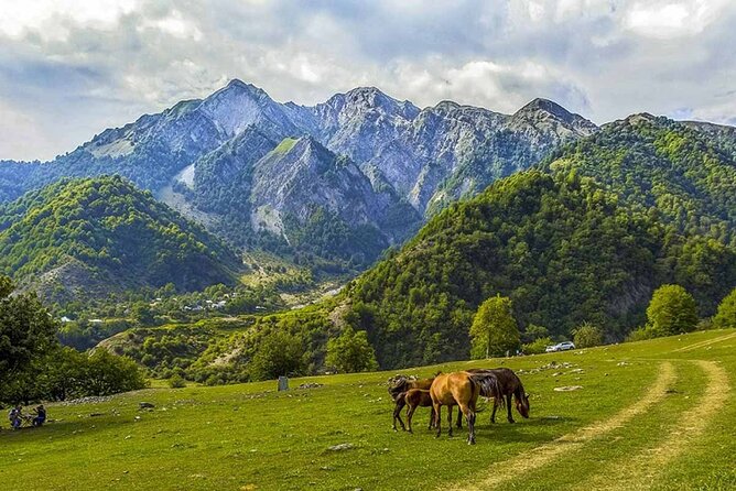 Full Day GABALA Tour with Mountains, Lakes and Waterfalls - Timing, group size, and photo-friendly pacing
