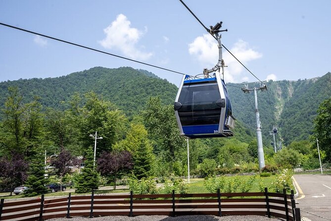 Gabala and Shamakhi Tour with Guide - Why this Gabala and Shamakhi day trip works from Baku