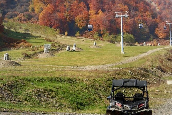 Gabala & Samakhi Tour/ All Entrance Fees Included Tour - Essenso Lavender Farm, and the late-May to late-June switch