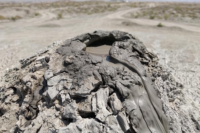 Gobustan and Mud volcanoe GROUP TOUR - Gobustan and Mud Volcanoes: Why This Half-Day Format Works