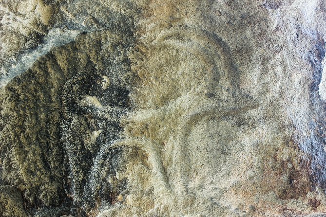 Gobustan and Mud volcanoes PRIVATE TOUR - Is it worth doing as a private tour?