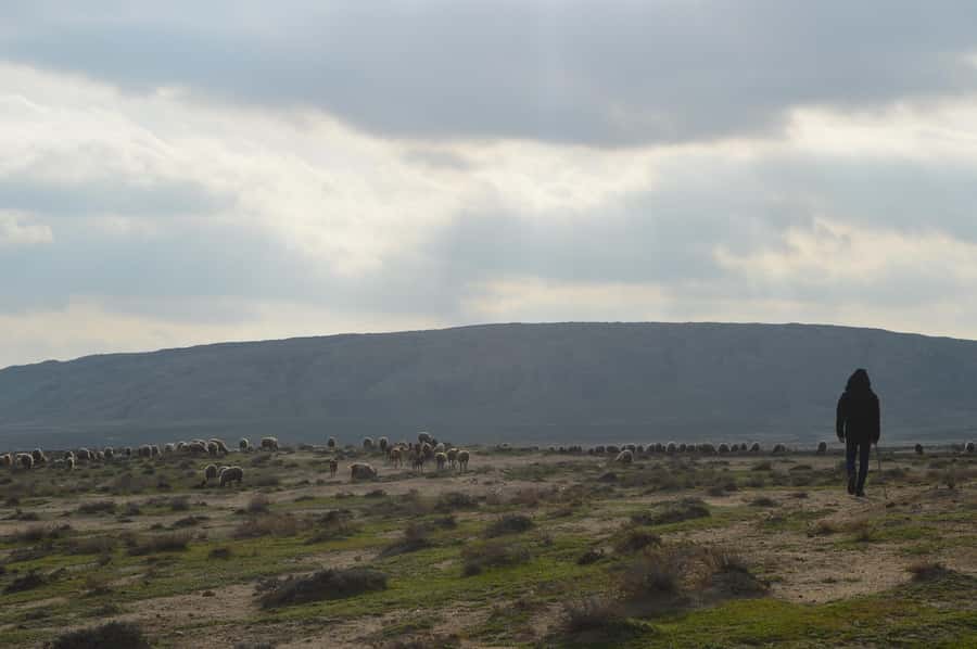 Gobustan, Mud Volcano, Burning Land and Fire Temple Tour - Mud volcanoes and your mud bath: what the earth feels like