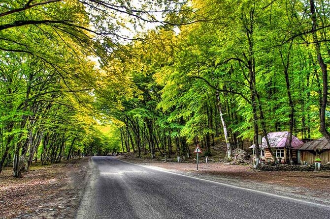 Guba Shahdag Azerbaijan Discover Nature’s Winter Wonderland - A 15-hour Guba and Shahdagh winter day trip from Baku