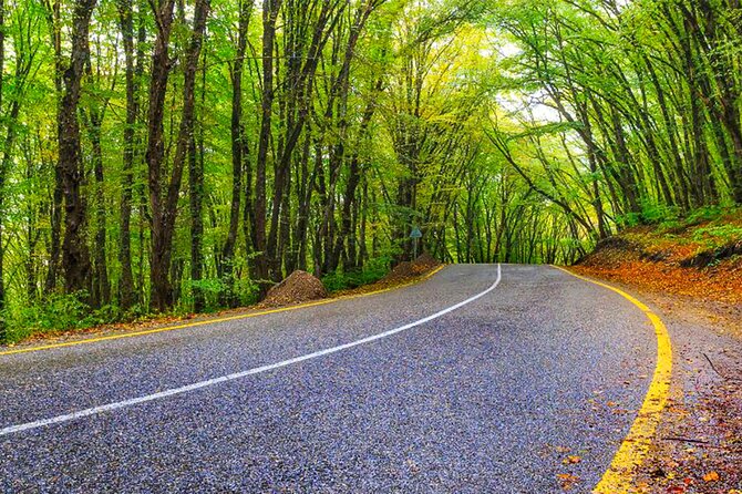 Guba Shahdag Azerbaijan Discover Nature’s Winter Wonderland - Gachrash Forest resort break: your reset button