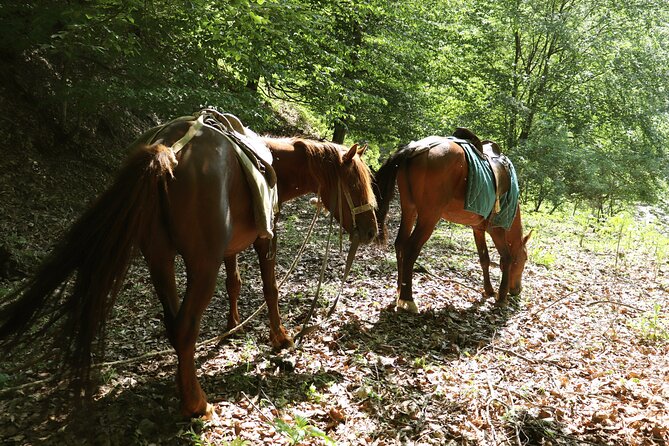 Horseback Riding in Azerbaijan - What riding along the mountain river actually delivers