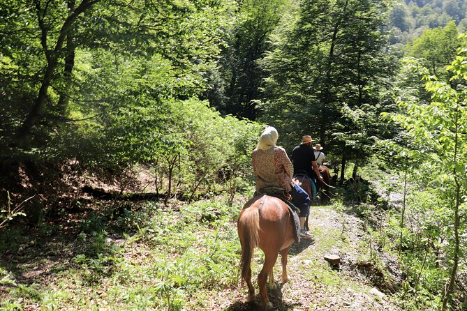 Horseback Riding in Azerbaijan - Lunch and picnic rhythm: planning for a long day