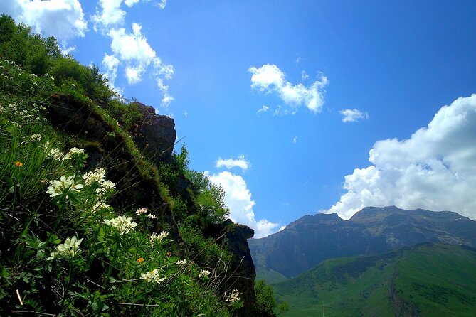 Khizi Candy Mountains, Shahdagh Full Day Guided Tour - Cable Car, Coaster, Zipline, and the Cost Reality Check