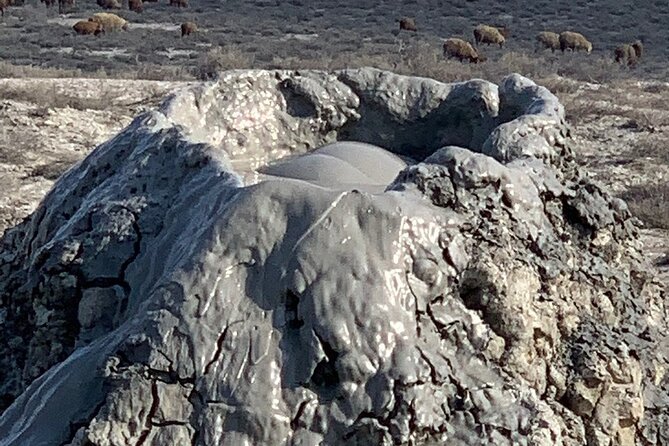 Mud Volcanoes & Gobustan Private Tour - Who Should Book This Private Tour