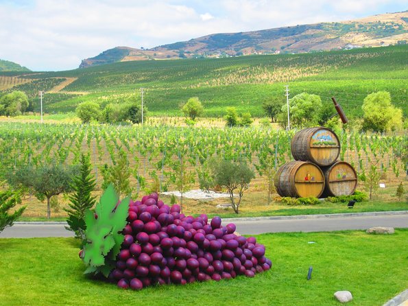 Organic Wine Tour Shamakhi with Local Lunch - Key things to know before you go