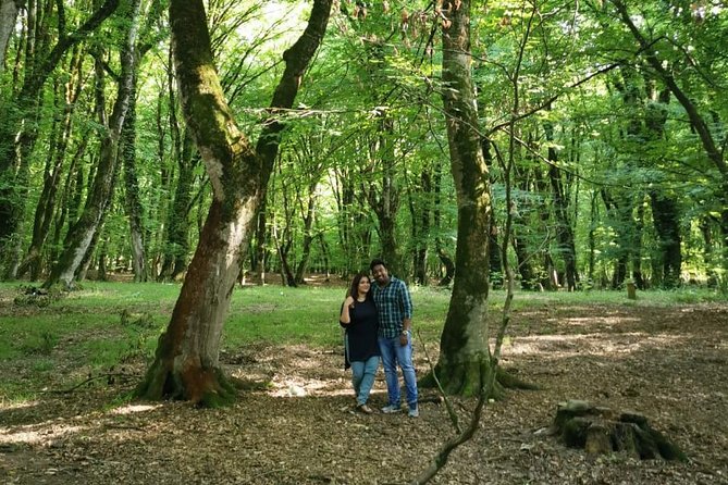 Private Gabala Tour (Full-Day Tour) - Who this tour suits best (and who should rethink it)