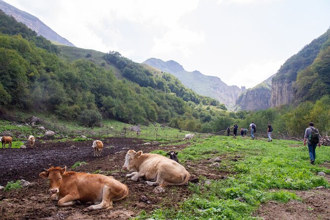 Private Hike through Magic Valley to Laza waterfalls - Price and Value: Why $250 Can Make Sense Here