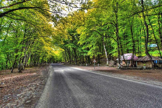 Shahdag Adventure Tour - Stop 2: Shahdag Mountain Resort, where you choose the pace