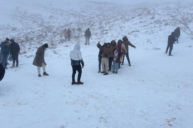 Shahdag Tour and Candy Cane Mountains tour - Shahdag Mountain Resort (2.5 hours): views and optional activities, with extra fees