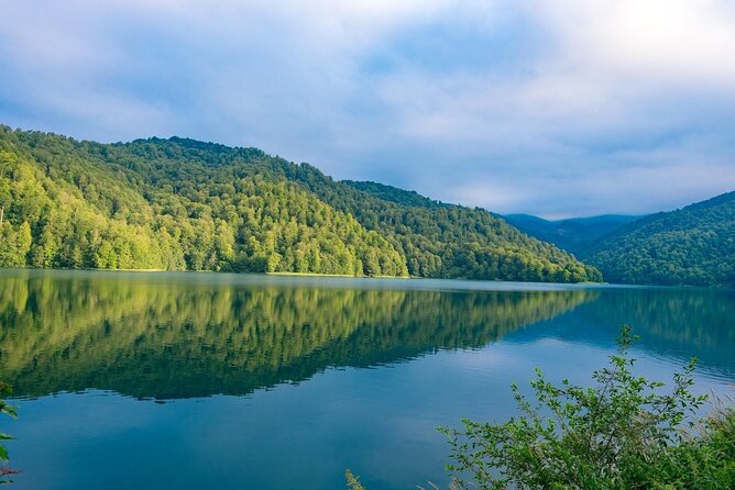 Shamakhi And Gabala Tour (All inclusive) - The Goychay forest lunch break: food, tea, and a reset