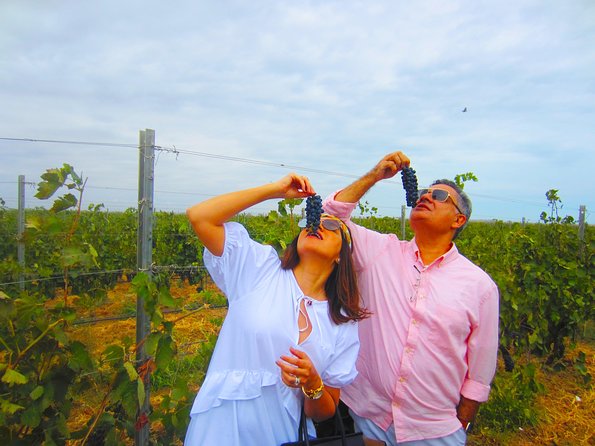 Wine Tour Baku - Getting to a Baku-area winery without the hassle