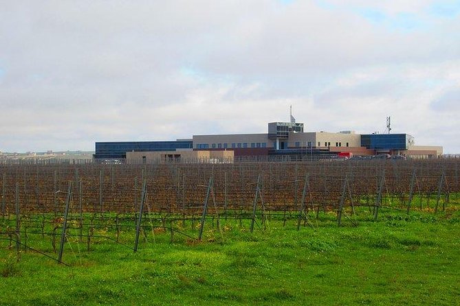 Wine Tour Baku - Snacks and the food pairing feel (cheese, greens, olives, and more)