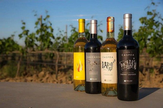 Wine Tour Baku - The guide factor: Nasimi’s approach, plus Yardigar support