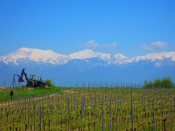 Wine Tour Qabala with Local Lunch - Key Things I’d Pay Attention To